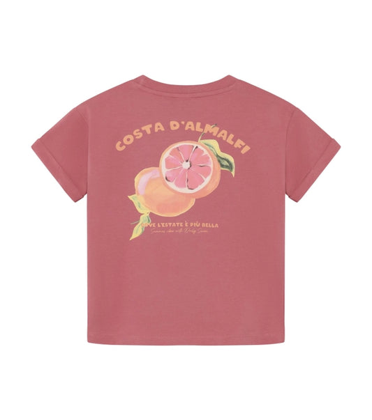 Daily7 T-shirt Backprint Heather Rose