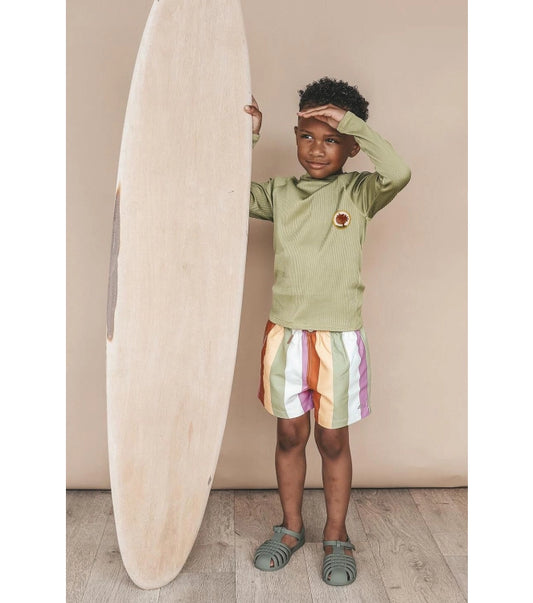 Zwembroek Multi Stripe | Swim Shorts | Multicolor