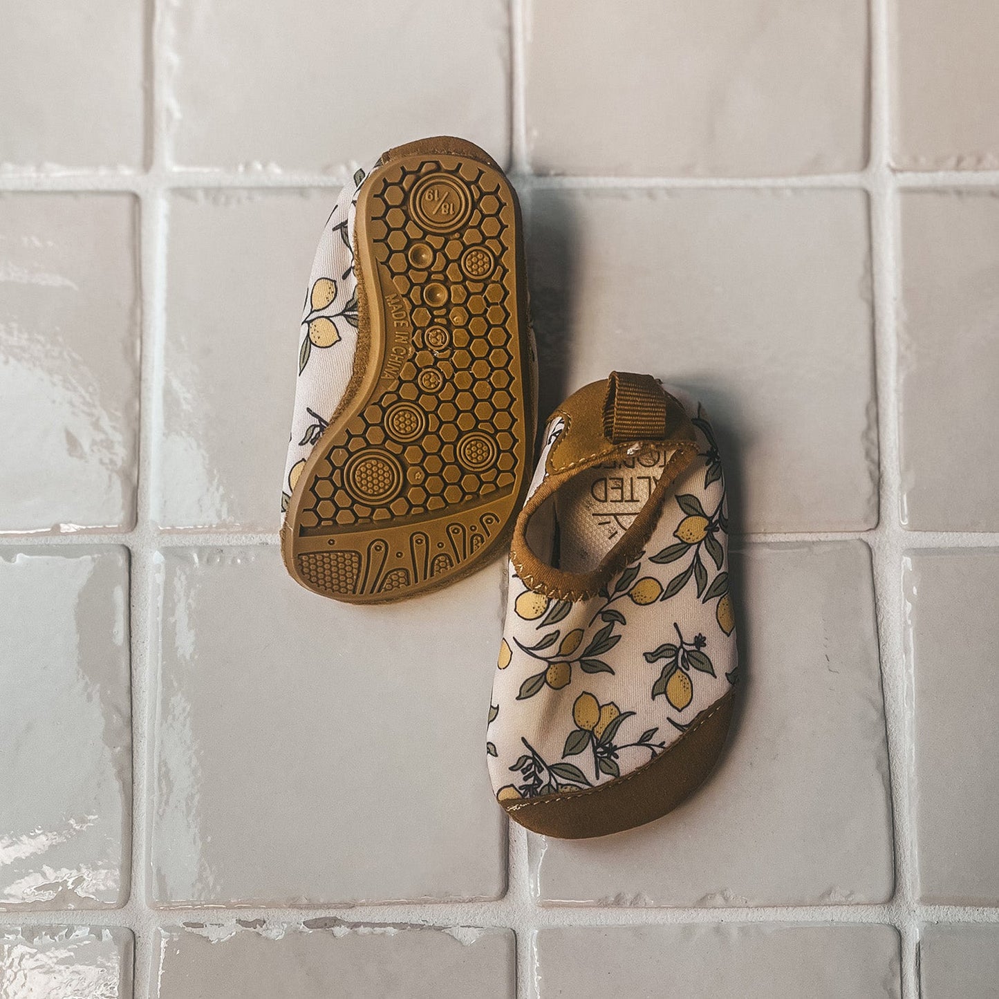 Salted Stories Lemons | Water Shoes | Shortbread