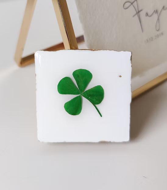 Tegeltje gedroogd klavertje vier