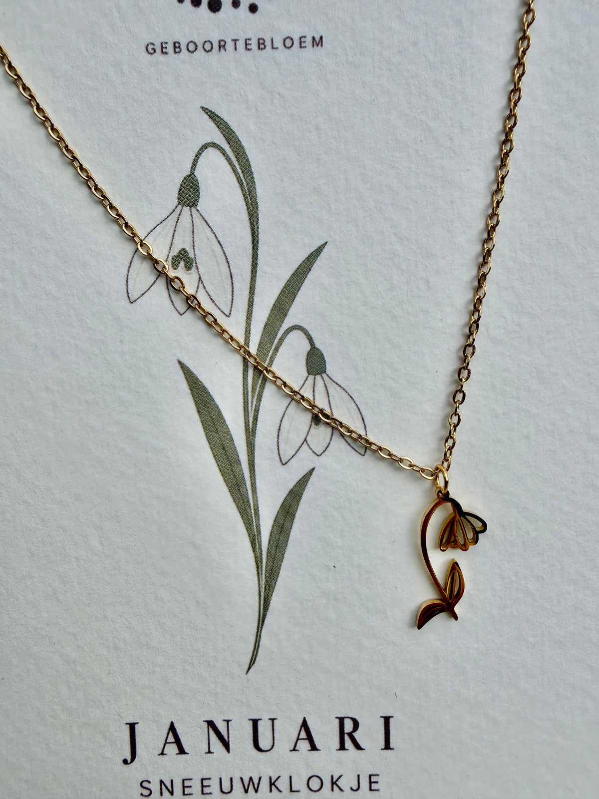 Geboortebloem ketting Januari – Sneeuwklokje | Goud of zilver - Stainless steel