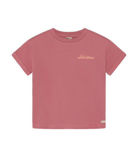 Daily7 T-shirt Backprint Heather Rose