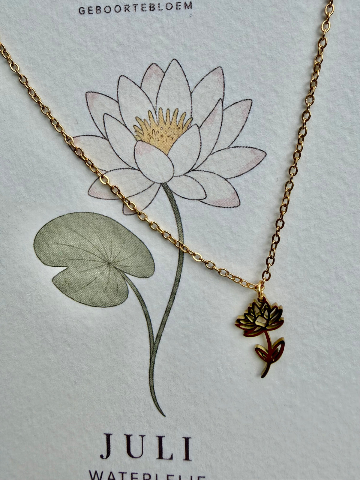 Geboortebloem ketting Juli – Waterlelie | Goud of zilver - Stainless steel