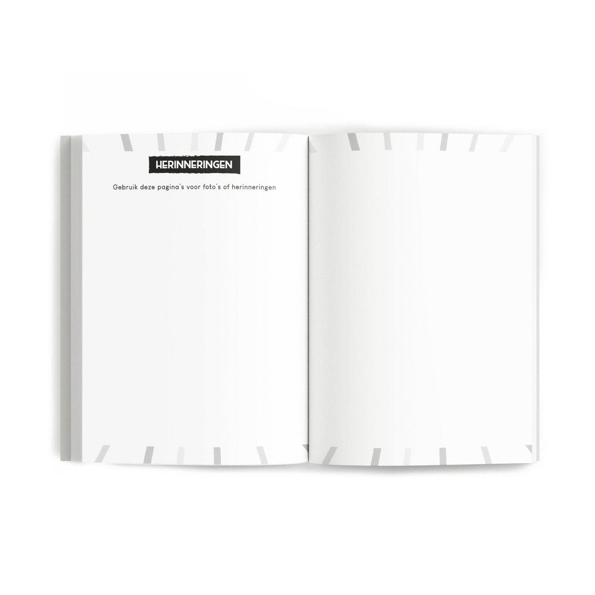 Vriendenboek voor volwassenen - Kleurenfestijn