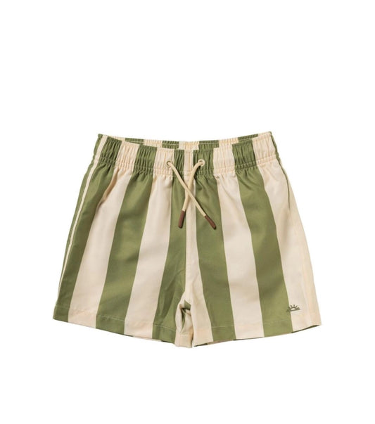 Zwembroek Wide Stripe | Swim Shorts | Iguana