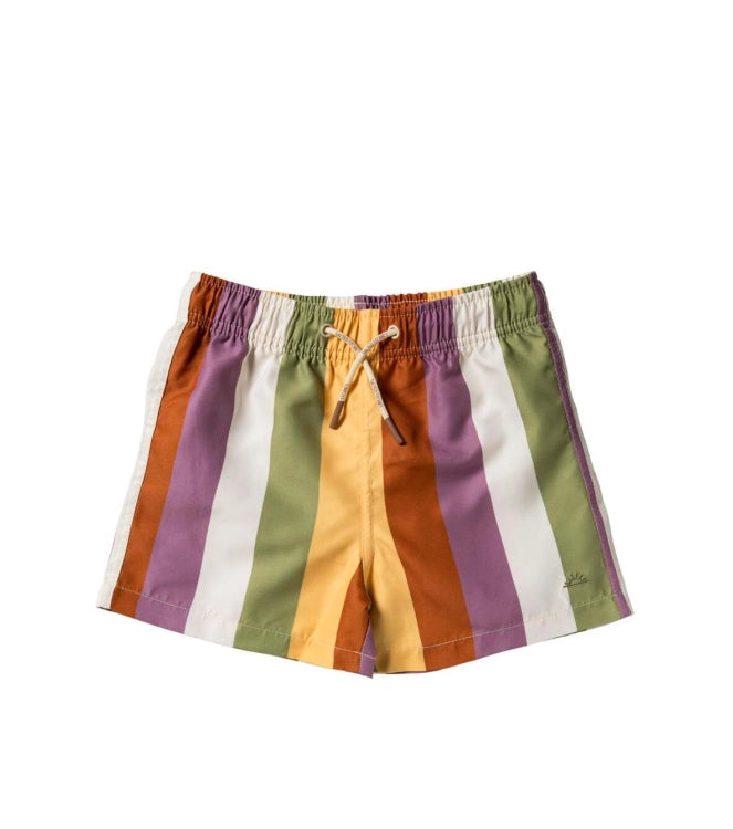 Zwembroek Multi Stripe | Swim Shorts | Multicolor
