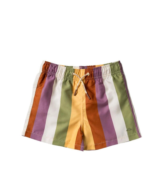 Zwembroek Multi Stripe | Swim Shorts | Multicolor