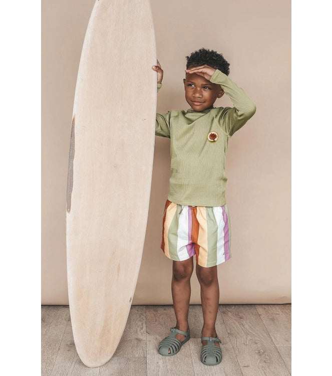 Zwembroek Multi Stripe | Swim Shorts | Multicolor