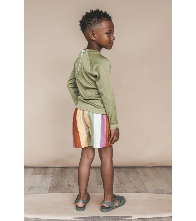 Zwembroek Multi Stripe | Swim Shorts | Multicolor