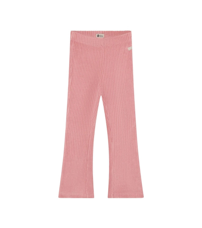 Daily7 Flared Broek Velvet Lilas