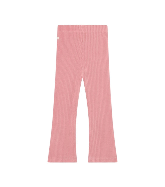 Daily7 Flared Broek Velvet Lilas