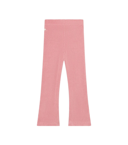 Daily7 Flared Broek Velvet Lilas