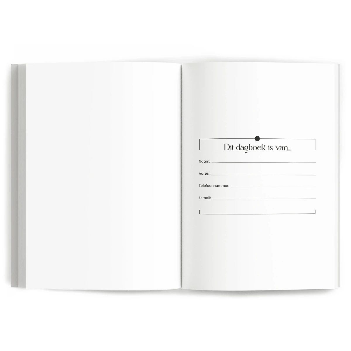 Een moment per dag dagboek - Beige