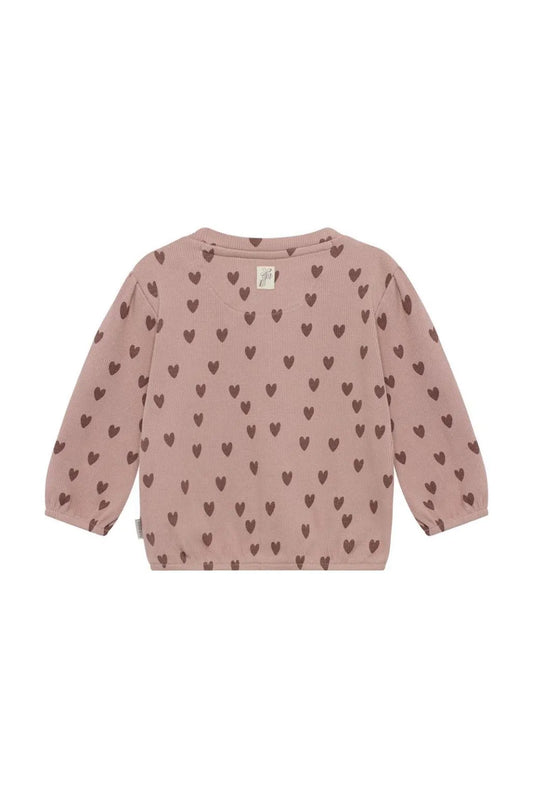 Noppies Baby Sweater all over print - Adobe Rose