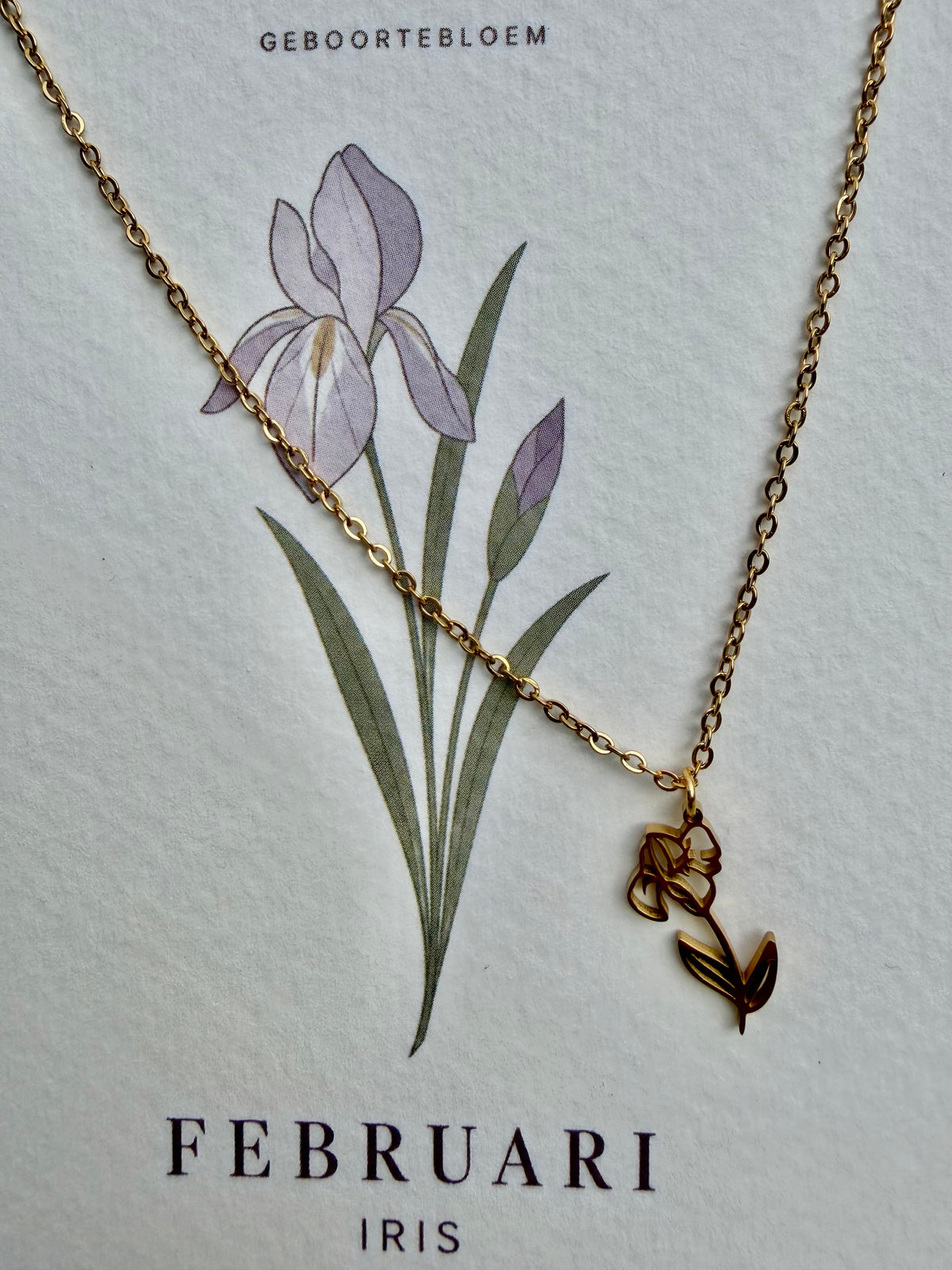 Geboortebloem Ketting Februari Iris – Goud of Zilver | Stainless steel