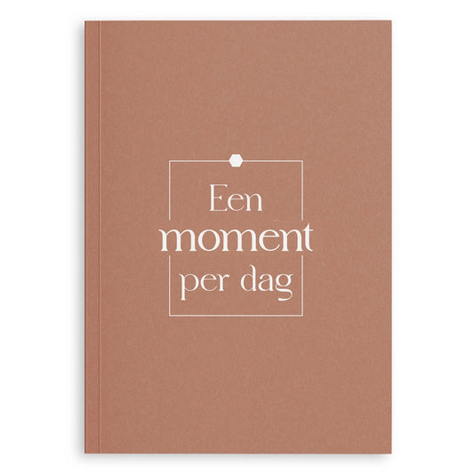 Een moment per dag dagboek - Roestroze