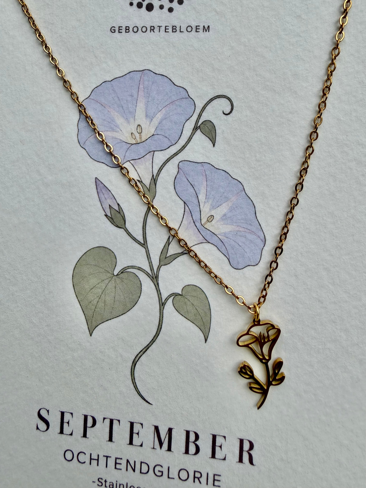 Geboortebloem ketting September – Ochtendglorie | Goud of zilver - Stainless steel
