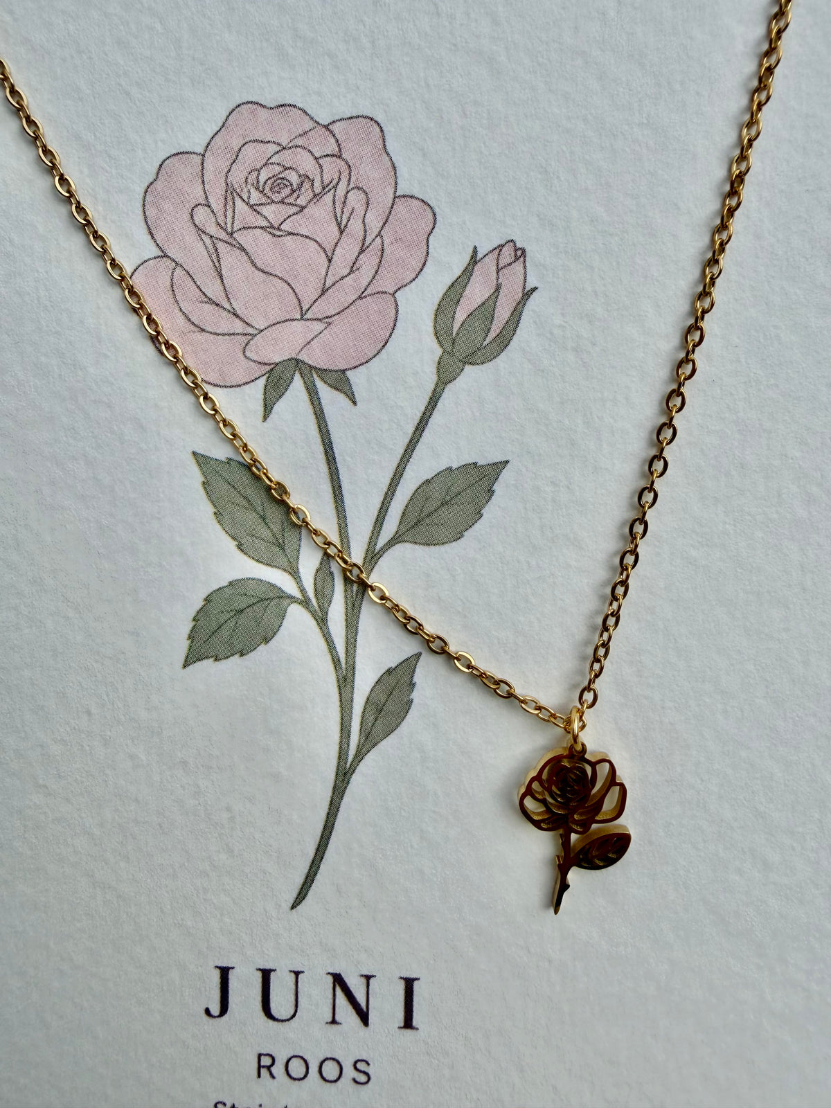 Geboortebloem ketting Juni – Roos | Goud of zilver - Stainless steel