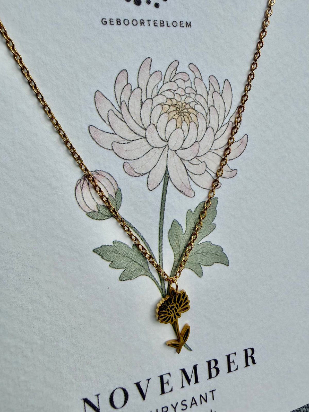 Geboortebloem ketting November – Chrysant | Goud of zilver - Stainless steel