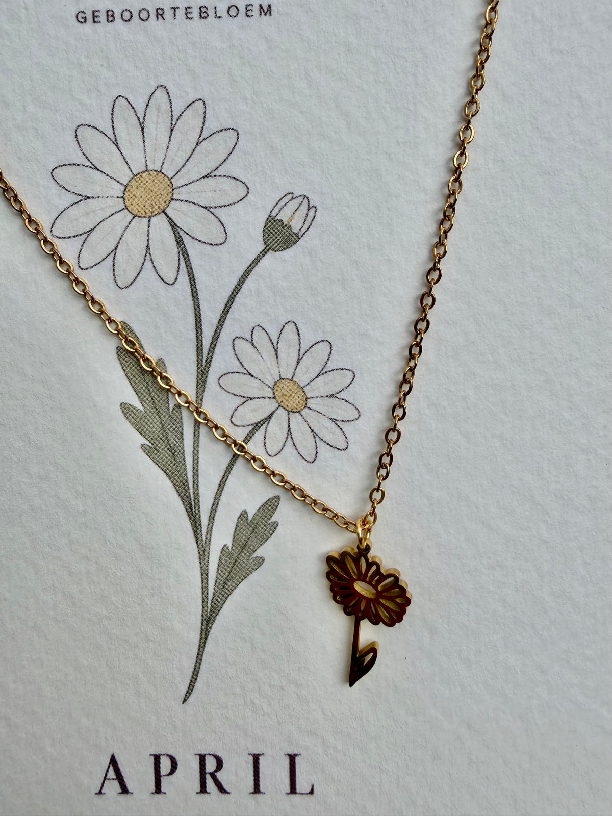 Geboortebloem ketting April – Madeliefje | Goud of zilver - Stainless steel