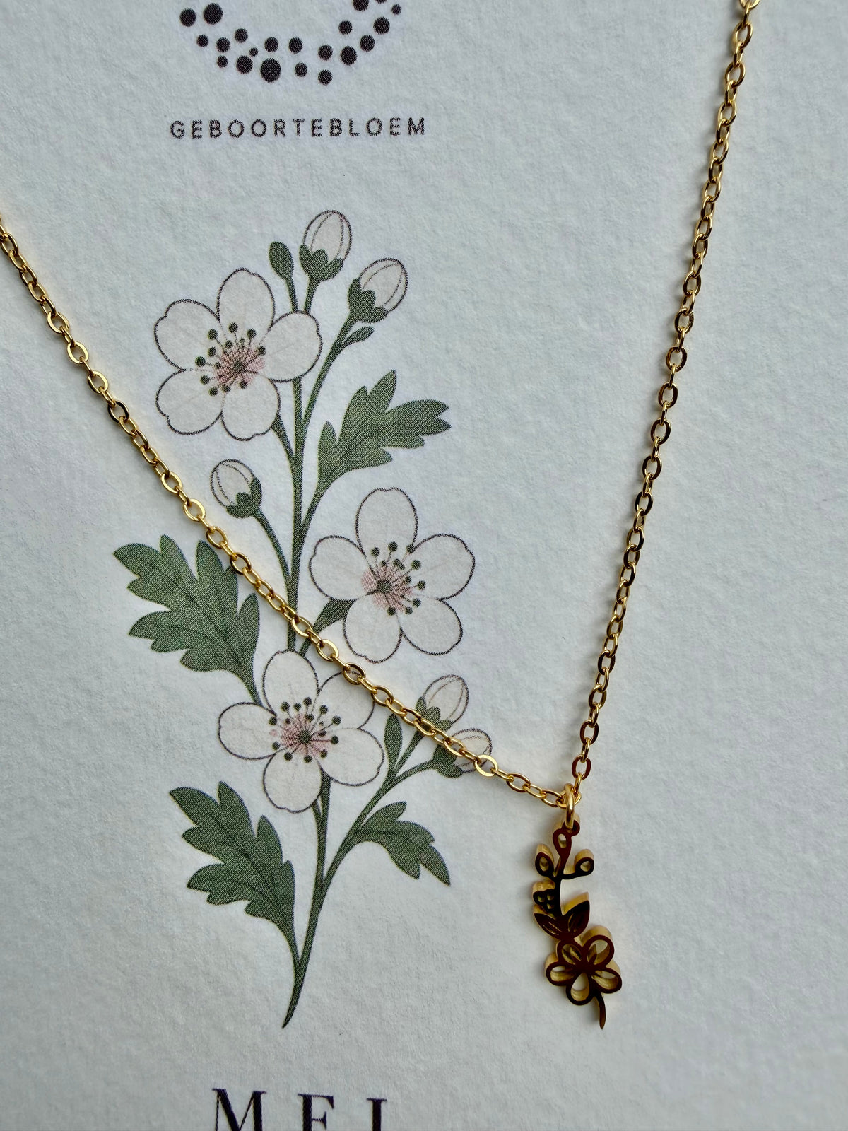Geboortebloem ketting Mei – Meidoorn | Goud of zilver - Stainless steel