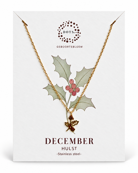 Geboortebloem ketting December – Hulst | Goud of Zilver Stainless steel