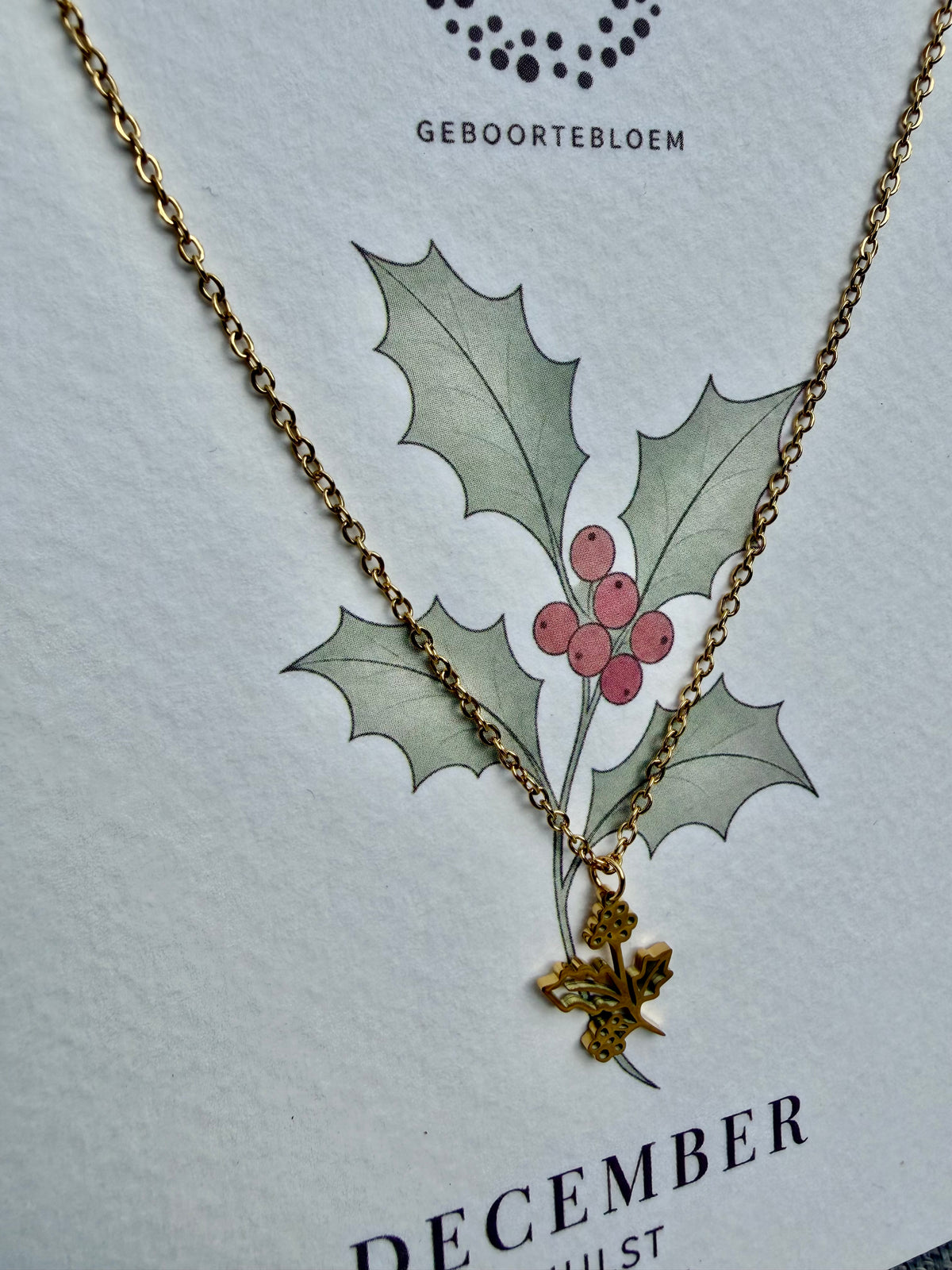 Geboortebloem ketting December – Hulst | Goud & Zilver Stainless steel