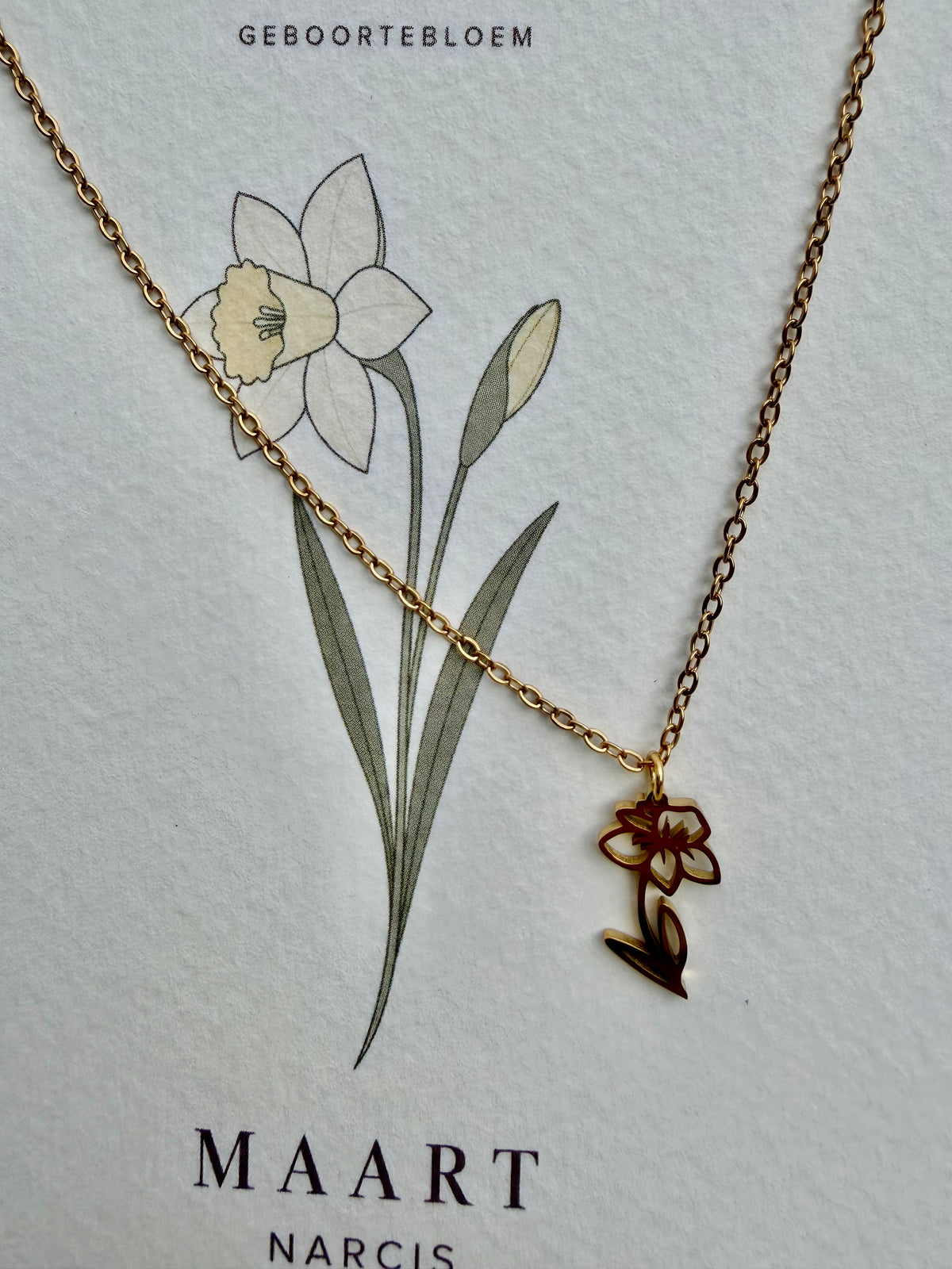 Geboortebloem ketting Maart – Narcis | Goud of Zilver - Stainless steel