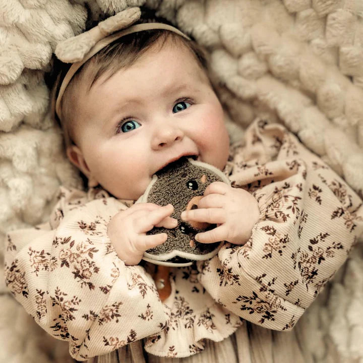 Chewies and More - Speendoekje | Bear