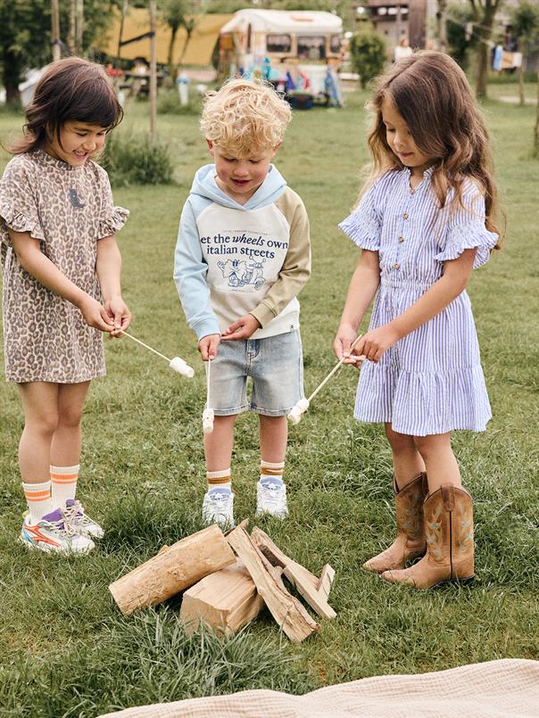 Daily7 Jurk Stripe Ruffle Lolite