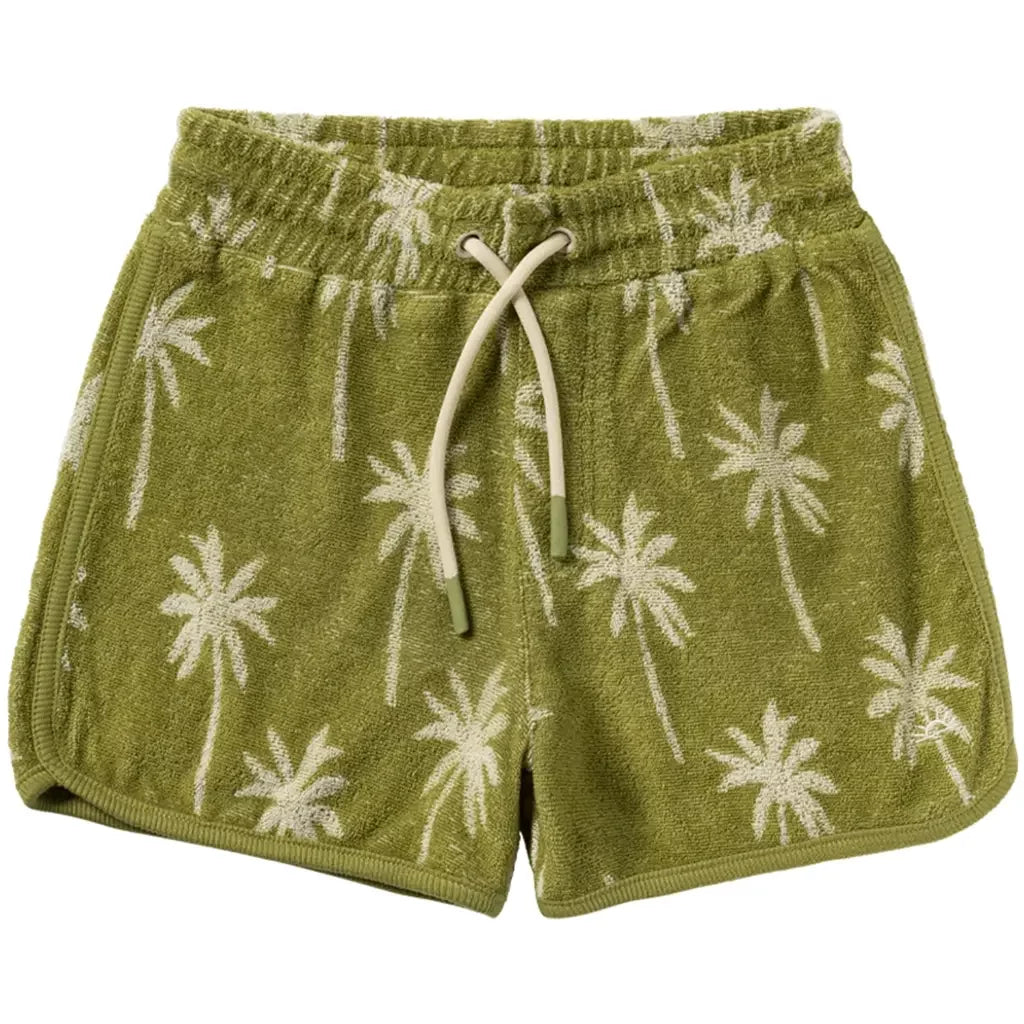 Salted Stories 2026 - Beach Palms | Shorts